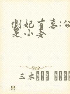 侧妃有喜:公主是小妾