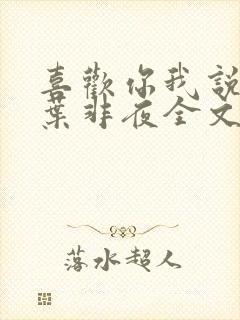 喜欢你我说了算叶非夜全文免费阅读