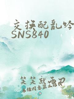 交换配乱吟粗大SNS840