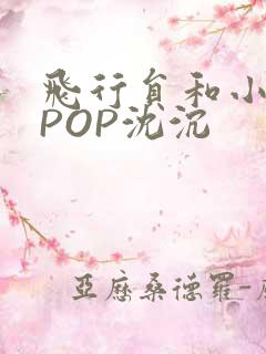 飞行员和小空乘POP沈沉