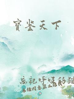 宝鉴天下