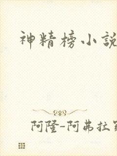 神精榜小说