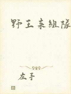 野王来组队小说