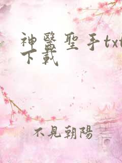 神医圣手txt下载