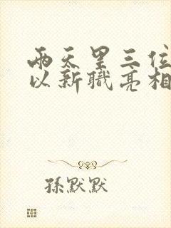 两天里三位将军以新职亮相