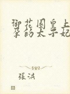 御花园皇上C有孕的太子妃