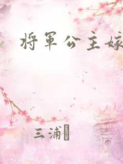 将军公主嫁到