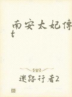 南安太妃传txt