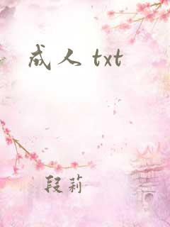 成人 txt