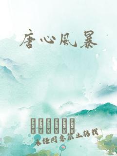 唐心风暴