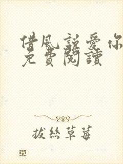 借风说爱你小说免费阅读