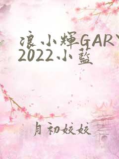 浪小辉GARY2022小蓝