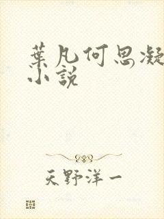 叶凡何思凝七月小说