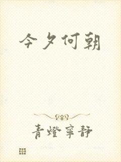 今夕何朝