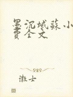 墨沉域苏小柠免费全文