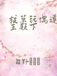 校草玩偶遵命公主殿下