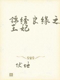 锦绣良缘之北地王妃