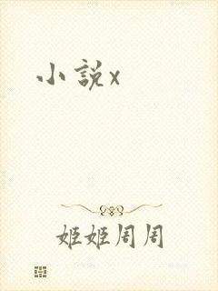 小说x
