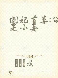 侧妃有喜:公主是小妾