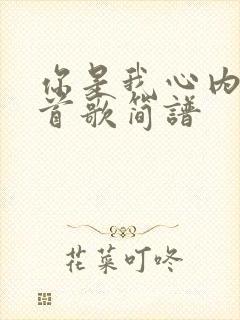 你是我心内的一首歌简谱