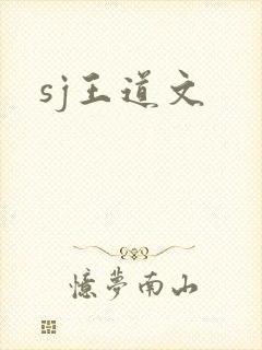 sj王道文