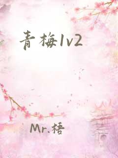 青梅1v2
