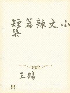 短篇辣文小说合集