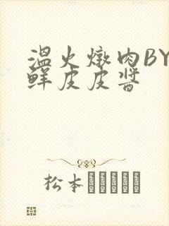 温火炖肉BY海鲜皮皮酱