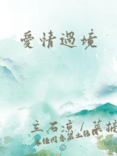 爱情过境