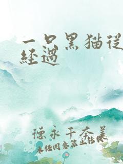 一只黑猫从眼前经过