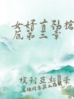 女婿有劲枪枪到底第三章