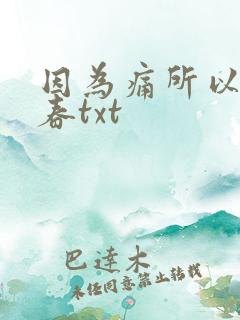 因为痛所以叫青春txt