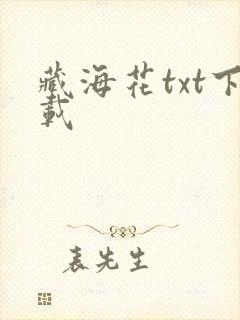 藏海花txt下载