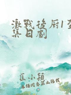 激战后厨1至5集日剧