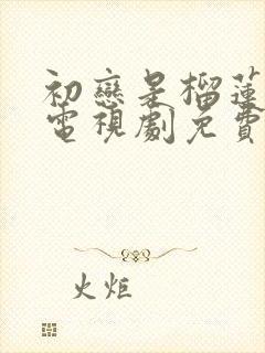 初恋是榴莲先生电视剧免费观看