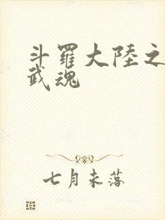 斗罗大陆之三生武魂