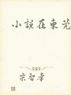 小说在东莞