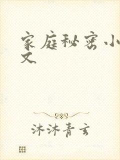 家庭秘密小说全文