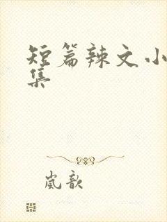 短篇辣文小说合集