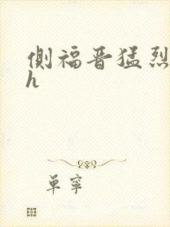 侧福晋猛烈顶弄h