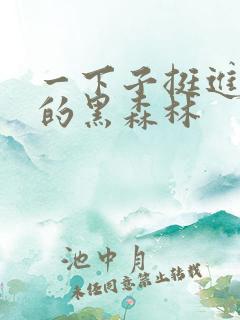 一下子挺进浓密的黑森林