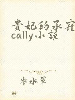 贵妃的承宠日常cally小说