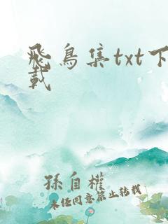 飞鸟集txt下载