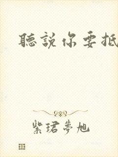 听说你要抵抗我