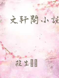 文轩阁小说网