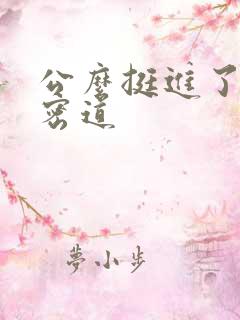 公么挺进了我的密道