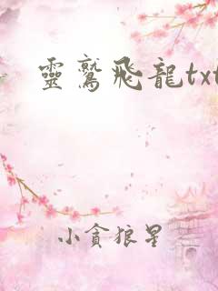 灵鹫飞龙txt