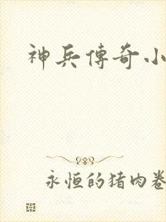 神兵传奇小说