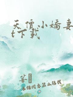 天价小娇妻txt下载