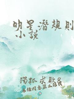 明星潜规则之皇 小说